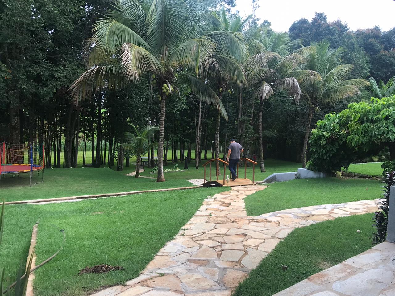 Jardim com coqueiros e ponte