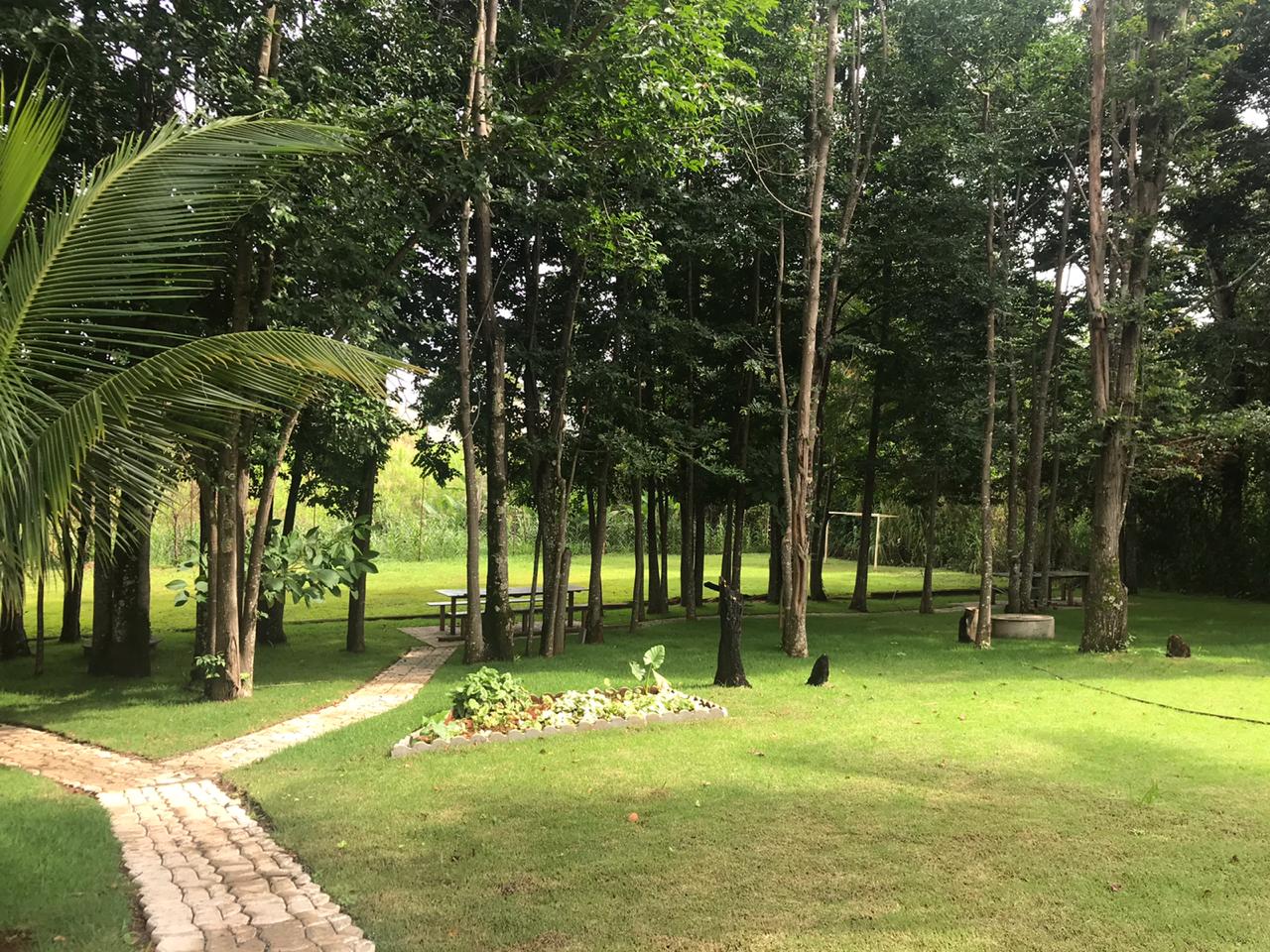 Trilhas no bosque para simulações